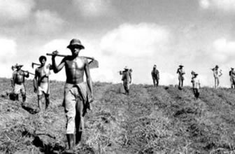 Reforma agrária garante o acesso à terra.