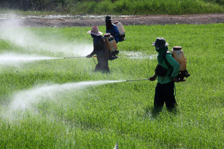 Os isonitrilos são utilizados na produção de pesticidas
