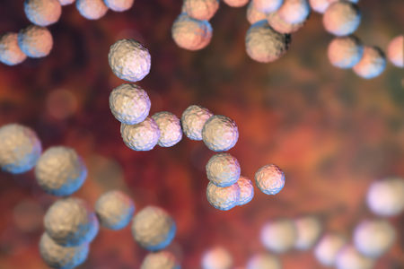 Staphylococcus aureus e Streptococcus pyogenes são bactérias que podem causar a SCT
