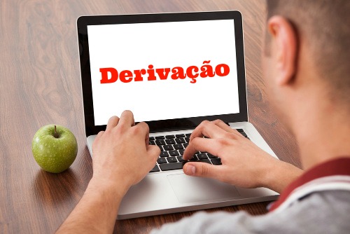 A Derivação é um dos processos de formação das palavras a partir da anexação de morfemas às palavras primitivas