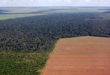 A ocupação da Amazônia vem expandindo o desmatamento da floresta
