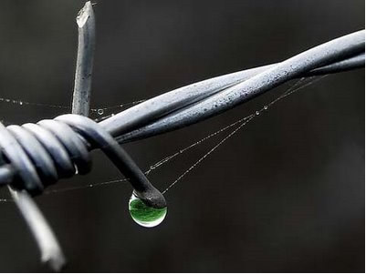 Gota d'água em arame farpado feito de ferro