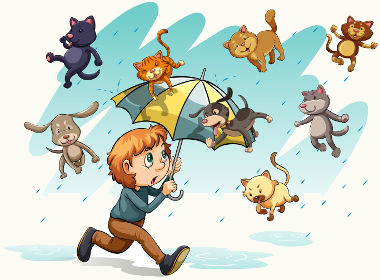 Run to home because It’s raining cats and dogs