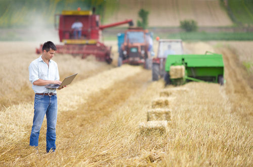 Na agricultura intensiva, há a utilização de tecnologia e mão de obra especializada