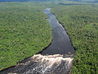 O Brasil possui várias áreas de paisagens naturais. Na imagem, temos o domínio amazônico