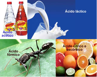 Os ácidos encontrados no nosso dia a dia recebem nomes muito conhecidos.