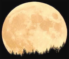 A Lua embeleza as noites