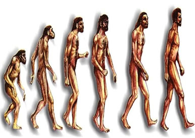 Ilustração mostrando a evolução do Homem.