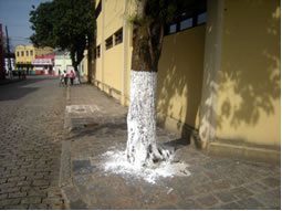As pinturas de caiação feitas em árvores, paredes e em outros lugares, são realizadas hidratando-se a cal, que é um óxido cujo nome oficial é óxido de