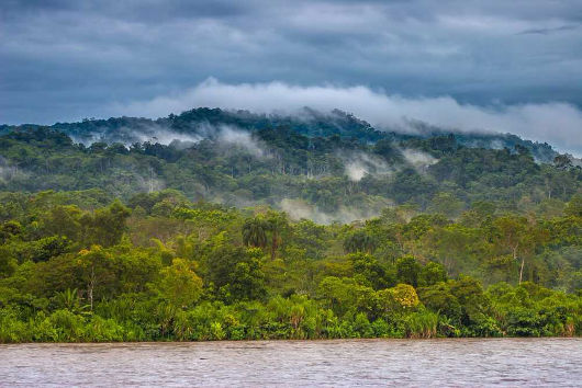 Processo de evapotranspiração na Floresta Amazônica