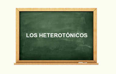 As palavras heterotônicas distinguem-se na presença ou não de acento e, consequentemente, na pronúncia