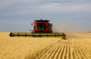 O agronegócio aumentou a produtividade do campo