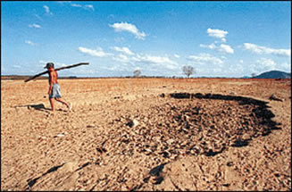 Área afetada pelo processo de desertificação.