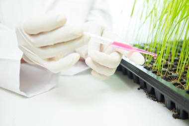 A biotecnologia pode operar a partir da alteração genética dos produtos agrícolas