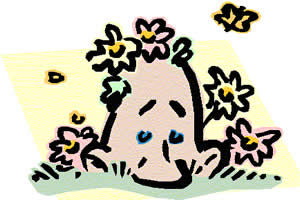 O pólen das flores provoca alergias.