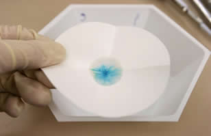 Resultado de filtração comum realizada em laboratório