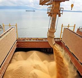 O Brasil é um grande exportador de produtos agrícolas