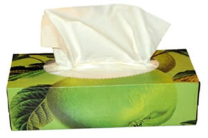É recomendável que pessoas acometidas pela gripe utilizem lenços descartáveis paracobrir o nariz e a boca ao espirrar ou tossir, evitando que nova