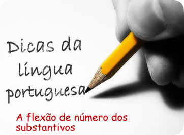 O número refere-se ao singular e plural