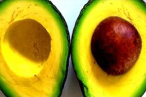 Abacate: fruto carnoso do tipo drupa.