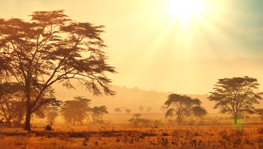 Paisagem típica das savanas