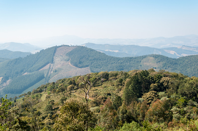 Paisagem do sertão mineiro, local que inspirou Guimarães Rosa a compor algumas de suas obras