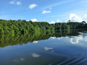 Floresta amazônica, a maior floresta tropical do mundo