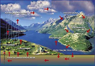 O ciclo de renovação da água.