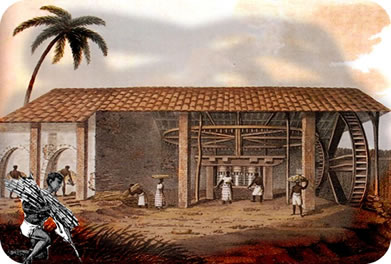 O trabalho escravizado constituía cerca de 80% dos trabalhadores dos engenhos coloniais.