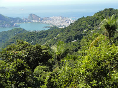 Rio de Janeiro, com a Mata Atlântica em primeiro plano. Apesar de manter áreas preservadas, a urbanização da cidade degradou o ecossistema