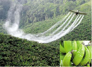 A utilização de agrotóxicos