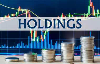 As holdings possuem um grande poder administrativo na economia internacional