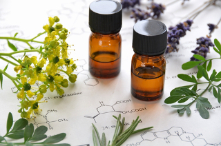 Você sabe como o óleo essencial das plantas (como a lavanda ao fundo da imagem), que contém os compostos aromáticos, é extraído?