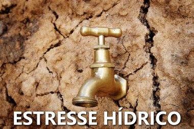 O estresse hídrico está relacionado com a disponibilidade de água em relação ao seu uso