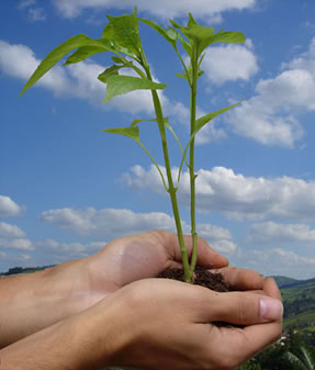 A preservação ambiental é de nossa responsabilidade