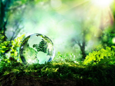 A Ecologia estuda a relações dos seres vivos entre si e com o meio