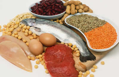 As fontes de proteína na alimentação são carnes, peixes, ovos, laticínios (como queijo, leite e iogurte) e leguminosas (como feijão, lentilha e soja).