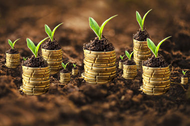 A economia verde visa à promoção do crescimento em função da preservação ambiental