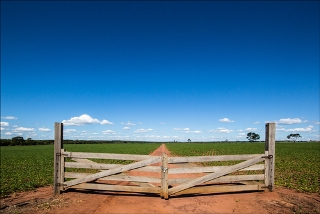 A fronteira agrícola continua em franca expansão no país