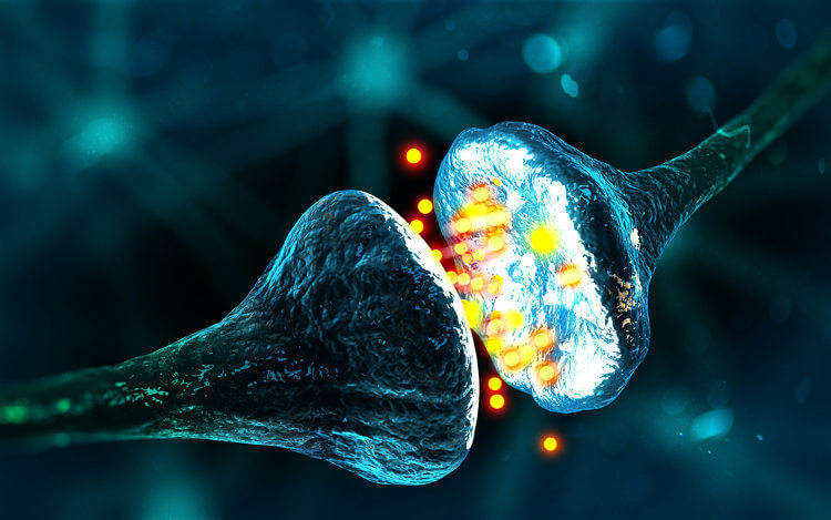 Neurotransmissores Os neurotransmissores são mensageiros químicos produzidos pelos neurônios.